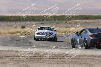 media/Oct-04-2025-OnGrid (Sat) [[44bd565ffa]]/Yellow Group/Grapevine/